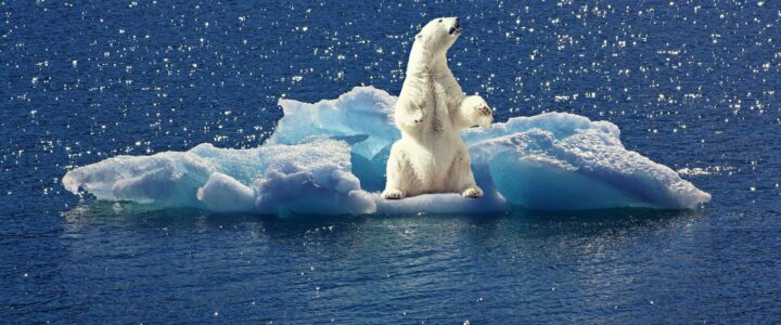 IPCC vydalo zprávu, kterou už nepotřebujeme. Klimatickou krizi mohou vidět lidé po celém světě ze svých oken